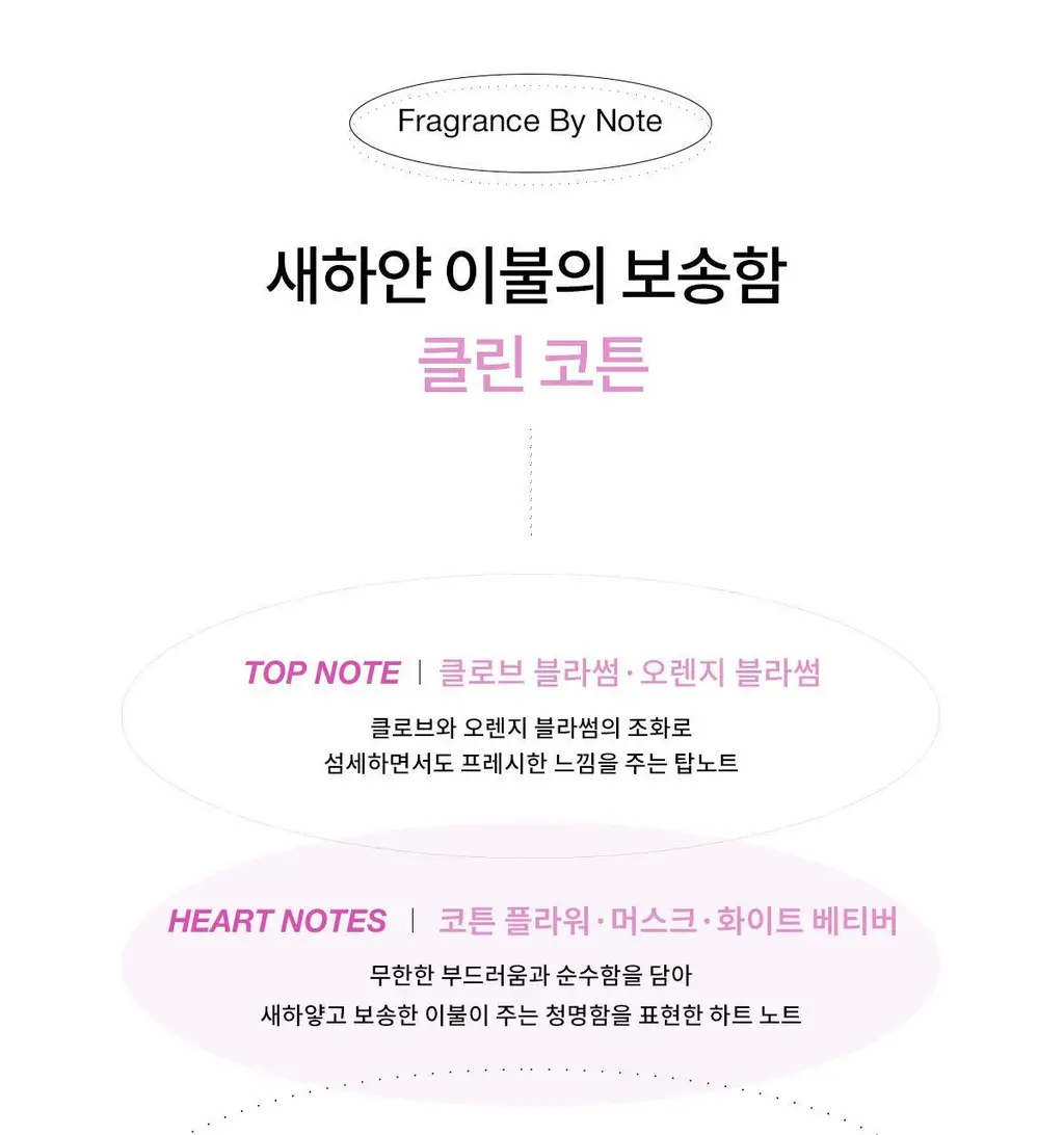 [클린코튼향]나르시소 로드리게즈 나르시소 래디언트 EDP (30ml/50ml) 상세페이지 13